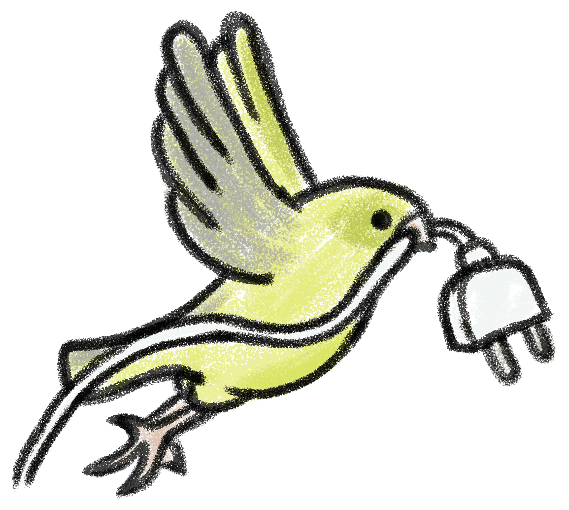 Fågel som stoppar i en kontakt i ett eluttag